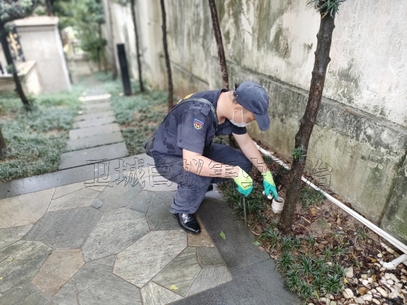 博罗杀白蚁公司，博罗白蚁防治中心